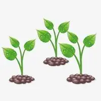 可爱小树苗卡通头像【点击鼠标右键下载】