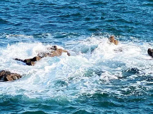 【首发】大海与浪花