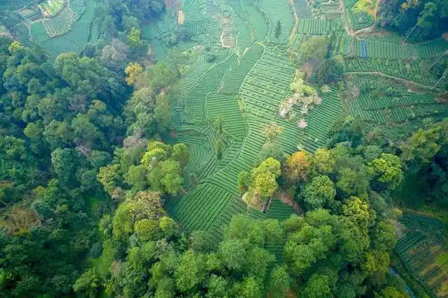 成都蒲江成佳镇:多管齐下打造"清廉乡村"