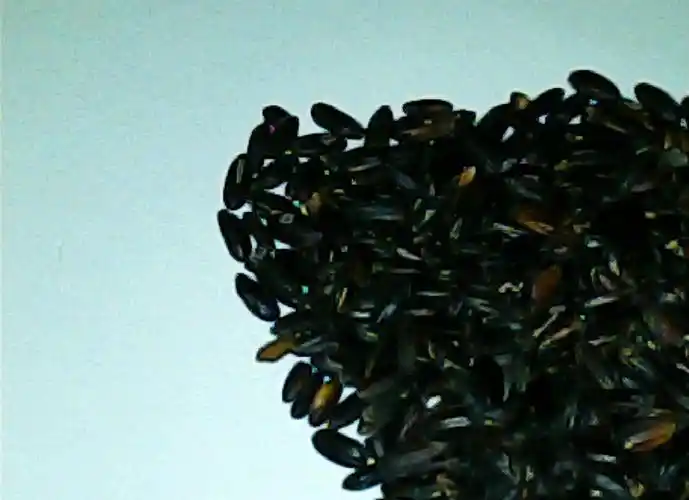 展开全部 亲,有味道的要么是染得,要么发霉了  追问 追答 黑米也彩乔