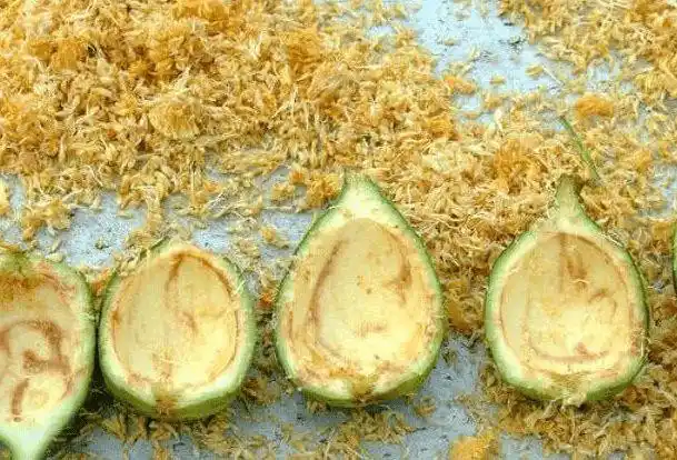 如果适当的食用凉粉果,也有着很好的消肿,止痛功效,这真是一个好果子