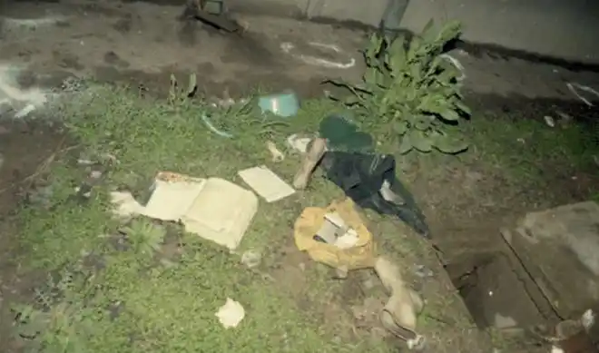 女大学生惨死下水道,缉凶28年终告破|南大|碎尸案_网易订阅