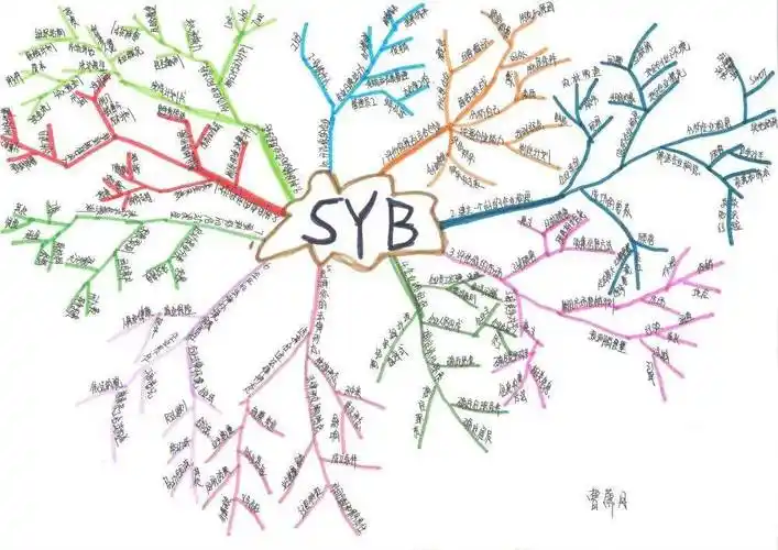 培训师们通过推介syb项目,宣介创业精神,训练创业技能,认识创业规律等