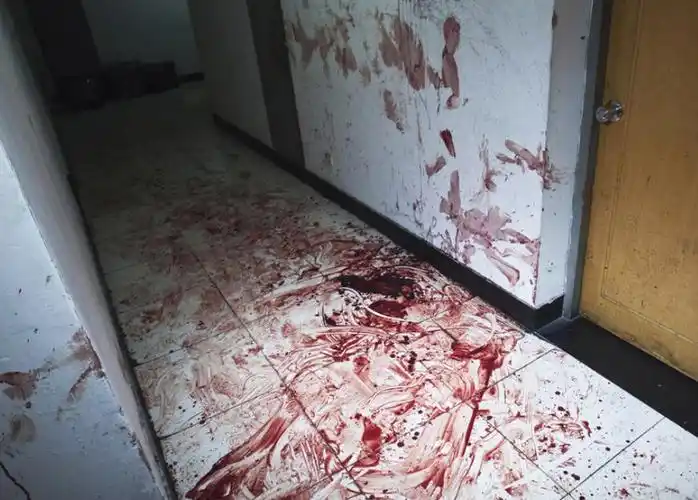 1988年属龙是什么命五行属相