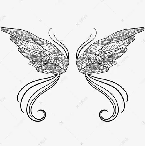 精灵翅膀手绘