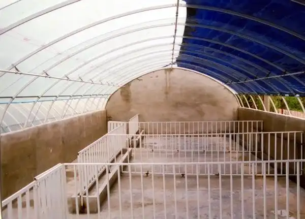 养殖大棚(猪舍)