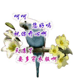 福利到了适合中老年朋友微信聊天的表情包整理全了快点收藏