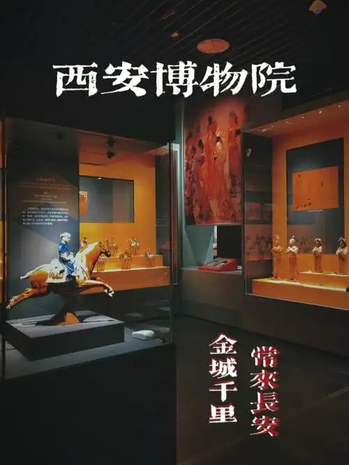 95博物院简介:西安博物院由博物馆,唐荐福寺遗址,小雁塔三部分组成