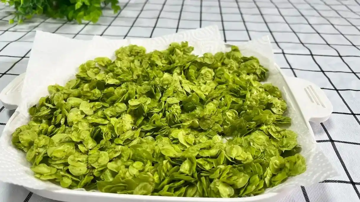 粉蒸榆钱.  粉蒸榆钱   所需食材:榆钱,面粉,盐;    - 抖音