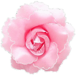 280_280gif 动态图 动图