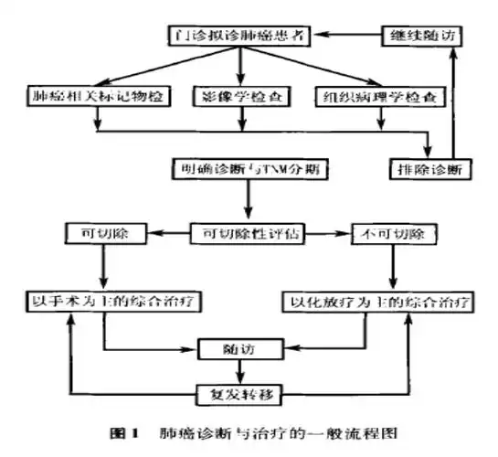 肺癌诊断与治疗的一般流程图
