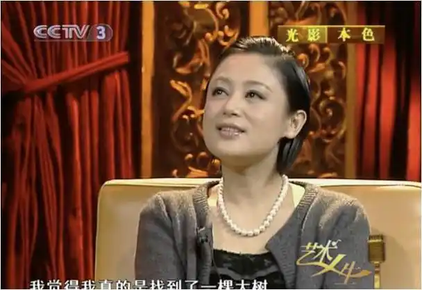 陈飞宇涉小三疑云母亲陈红成热搜焦点她的污点再次翻红