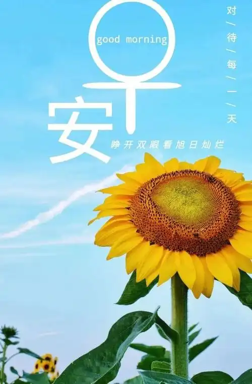 简短的早晨励志句子,早晨的句子唯美短句(早安心语,正能量满满的短