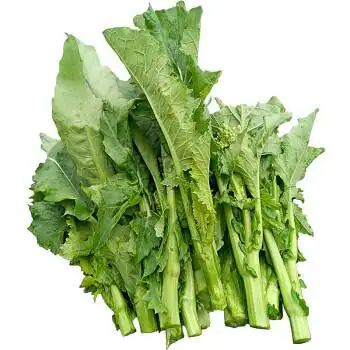 爵妃 油菜苔新鲜青菜台当应季农家自种蔬菜现货菜薹菜心棒菜头 5斤