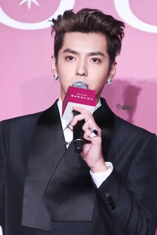 吴亦凡代言宝格丽