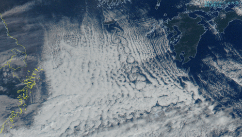 气象卫星监测下的卡门涡街现象