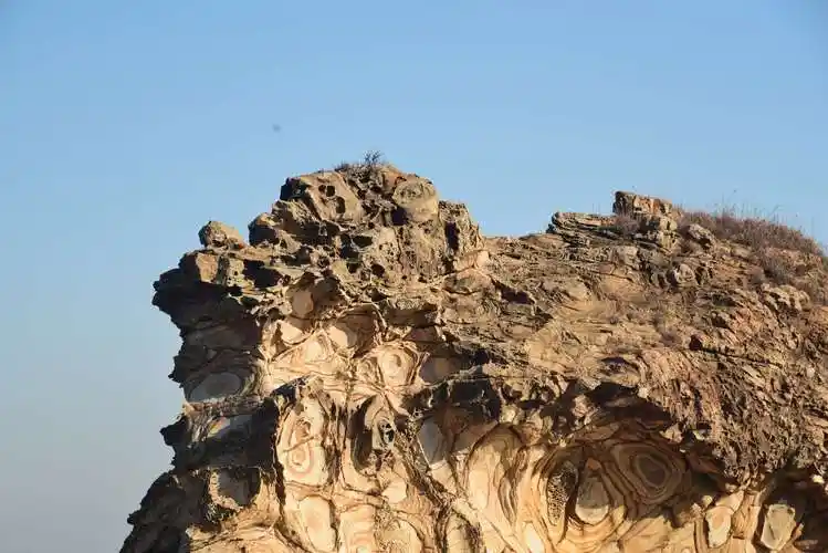 花斑石,奇石天地