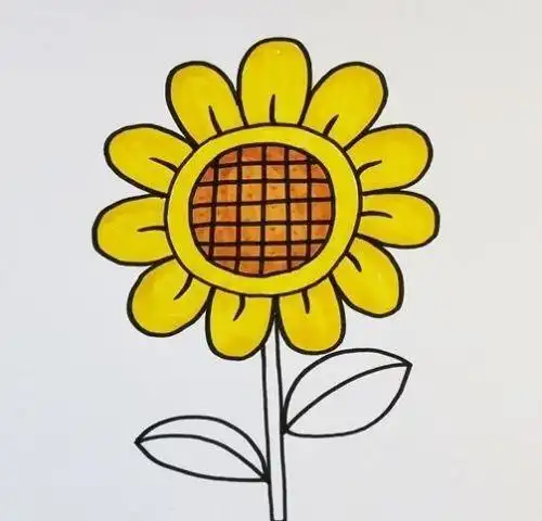 向日葵简笔画图片大全,图片,简笔画-学笔画
