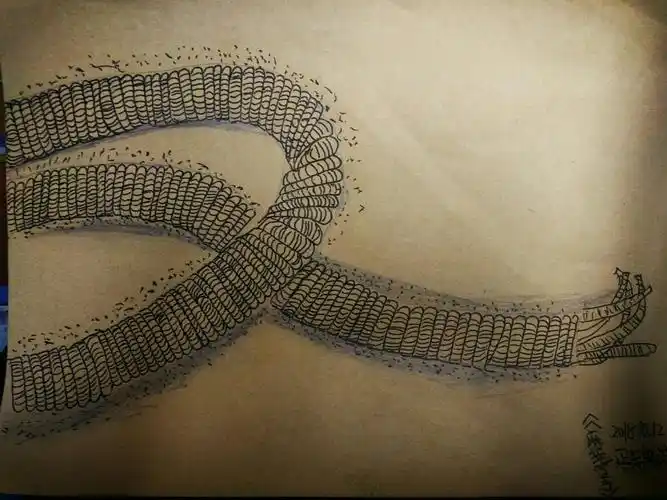 孩子们写生的作品《麻绳》很强哦