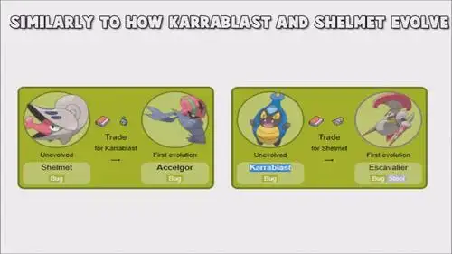 相同的情况还出现在了小嘴蜗——敏捷虫,盖盖虫——骑士蜗牛身上,他们