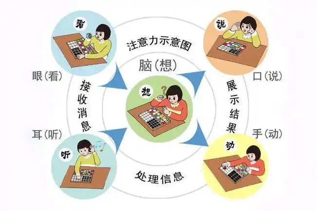 72暑假尚贝陪你成为学霸注意力特训课程