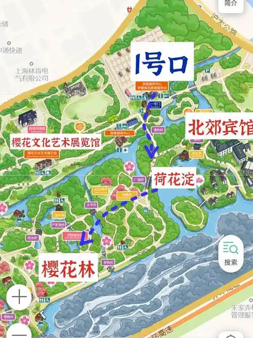 顾村公园春天赏樱地图顾村公园门票交通游玩路线