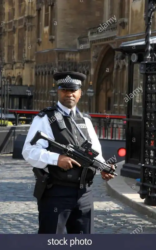 gate keeper —— 伦敦大都会警察厅 议会及外交安保组 padp