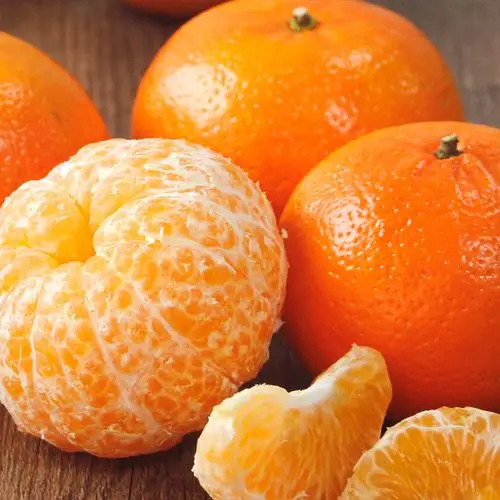 云南沃柑一级果10斤特级大果新鲜水果非广西武鸣蜜砂糖橘子桔子