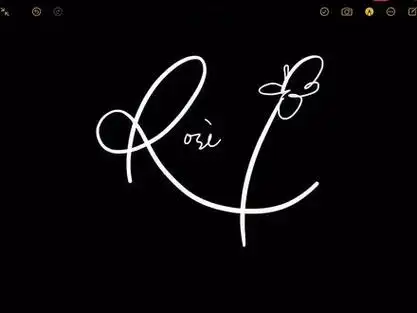 偶遇rosie向她要了个签名!05没带笔 签在备忘录上了#朴彩英