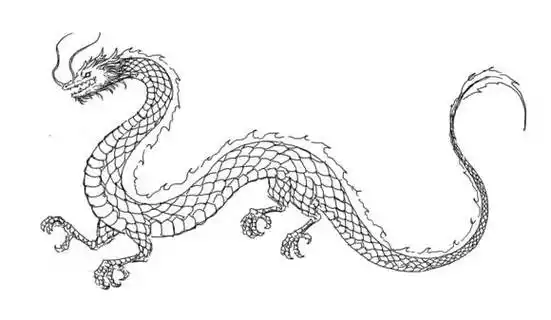 龙简笔画霸气 创意中国龙简笔画霸气