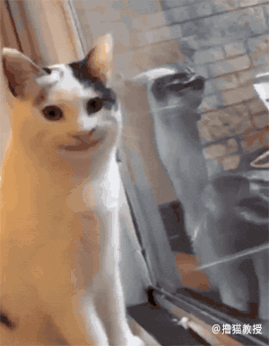 300_386竖版 竖屏gif 动态图 动图