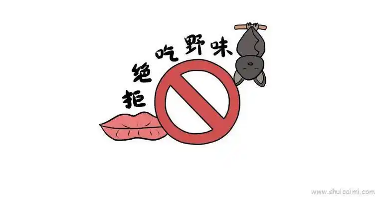 拒绝吃野味儿童画怎么画拒绝吃野味简笔画图片大全