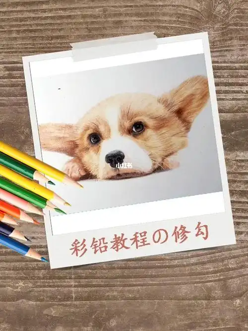 手绘一只彩铅狗狗这么详细照着画就学会啦