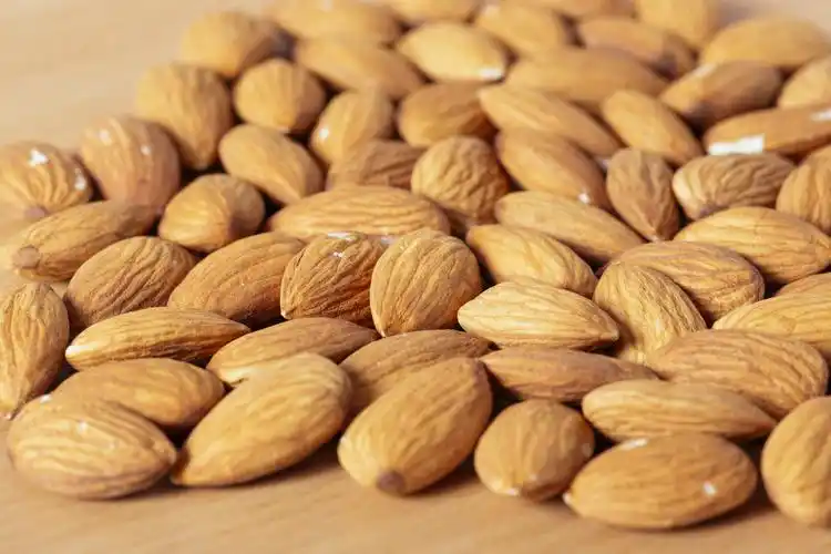 图片大全 美食世界 营养丰富的杏仁图片 > 营养丰富的杏仁图片 第1张