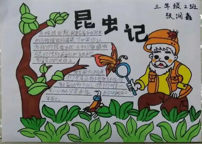 【惠小实践作业】快乐读书吧!——三年级二班语文实践活动