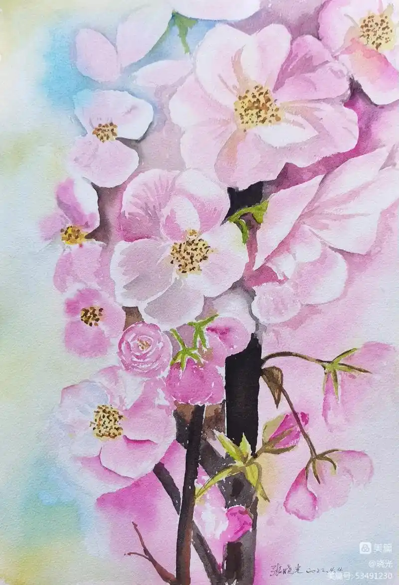 我学水彩画水粉画