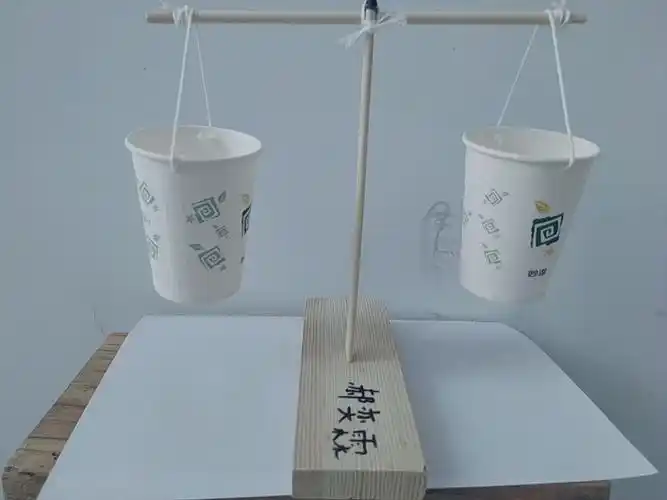 邢台市育红小学泉北校区 一年级 "我是小小科学家"简易天平制作大赛