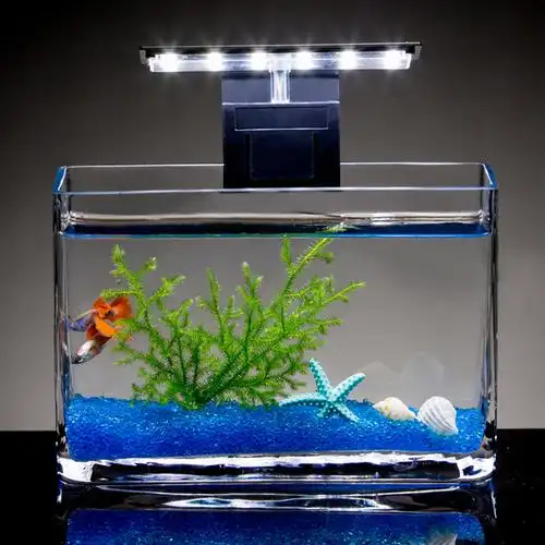 金鱼缸鱼缸透明玻璃长方形客厅小型生态桌面迷你桌面缸