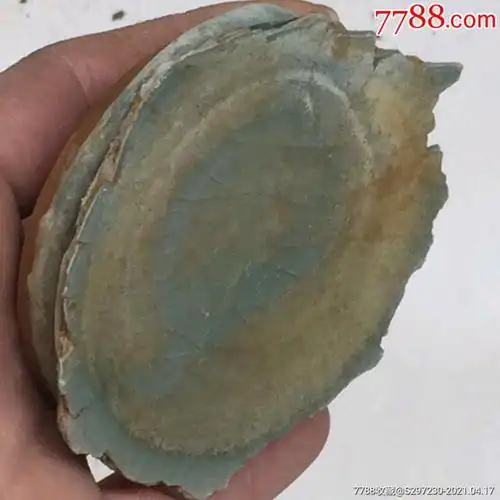 南宋溪口官窑(玻璃釉质灰黑胎)-瓷片-7788收藏