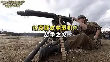 维克斯式中型机枪:战争之火