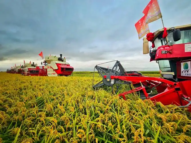 开镰!"北大荒第一镰"奏响丰收的乐章