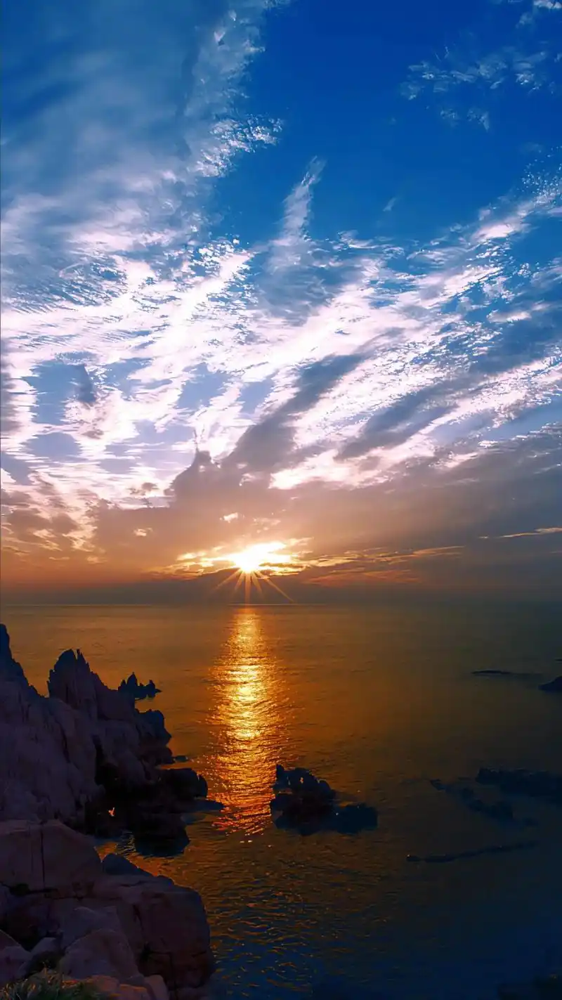 我落日般的忧伤就像惆怅的飞鸟,惆怅的飞鸟飞成我落日般的忧伤.