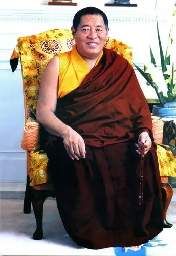 法王如意宝晋美彭措