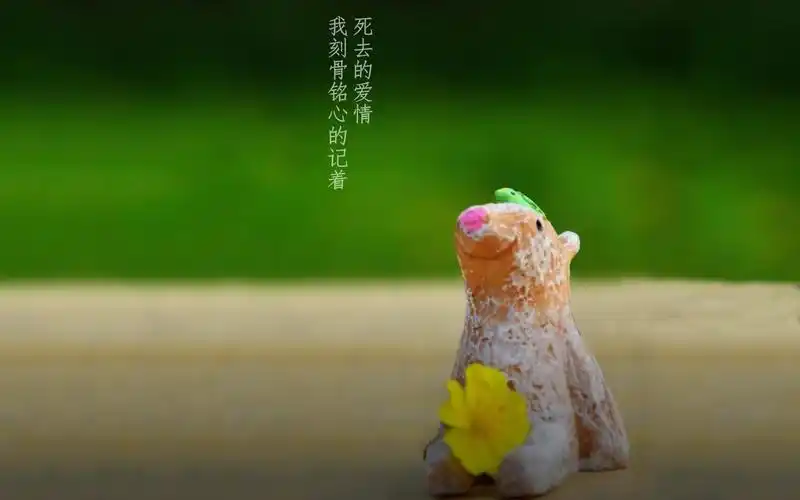 安静地等待爱情文字高清壁纸