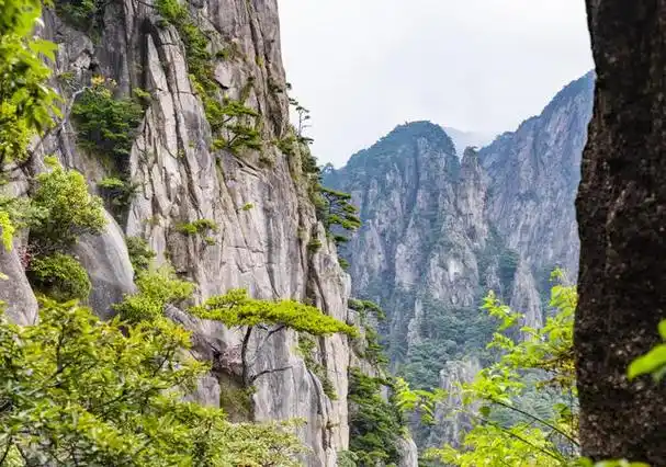 山峰,奇特的岩石,秀丽的松柏,清澈的泉水和奇特的云海景观而著称于世