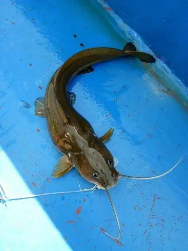 鱼此好的天气19℃-30℃人品爆发!