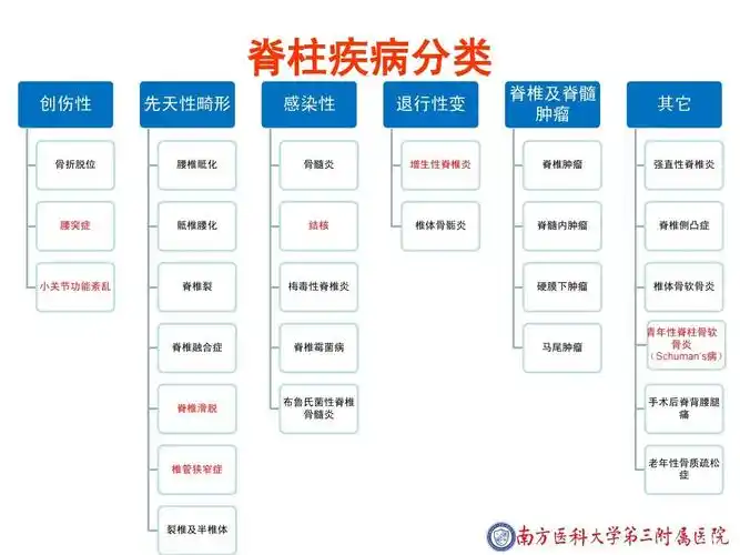 脊柱相关疾病的保守治疗ppt