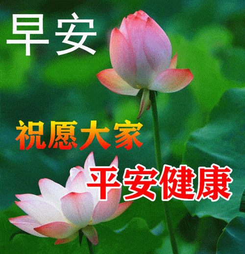 微信清晨最新早上好问候语表情图片语录大家早上好最美的祝福语送给我