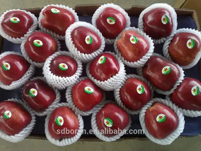 2015 exporting fresh red apple, huaniu apple