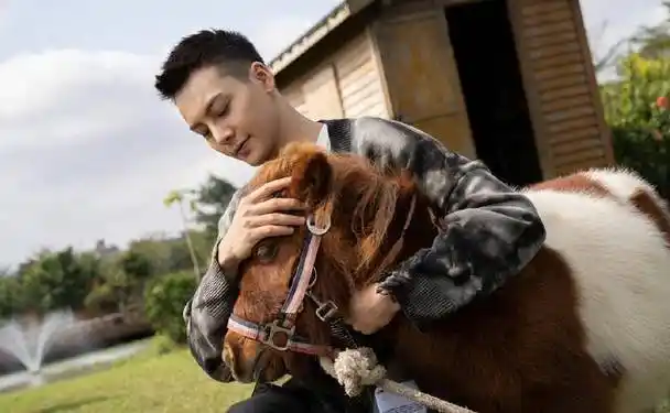 希望人帅心善的陈伟霆在2021年牛气冲天有更好的作品带给大家啊,平安